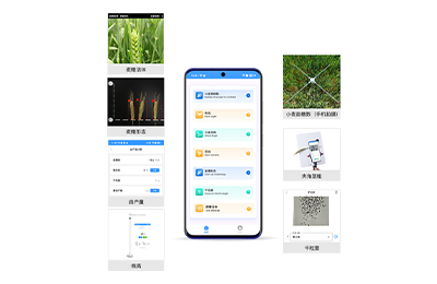 新界小麦表型检测仪IN-XM04