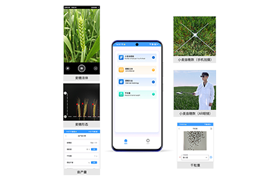 新界小麦亩穗数分析仪IN-XM02